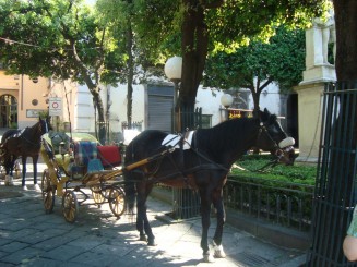 Sorrento - City Sightseeing