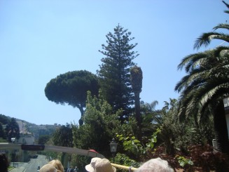 Sorrento - City Sightseeing