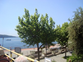 Sorrento - City Sightseeing