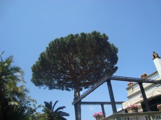 Sorrento - City Sightseeing