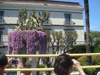 Sorrento - City Sightseeing