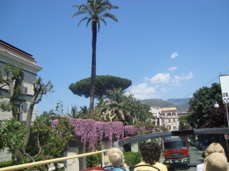 Sorrento - City Sightseeing