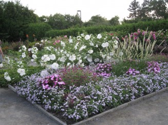 Gradina Botanica din Montreal