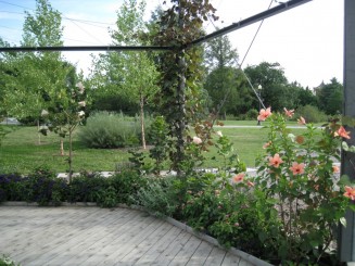 Insectarul din Montreal