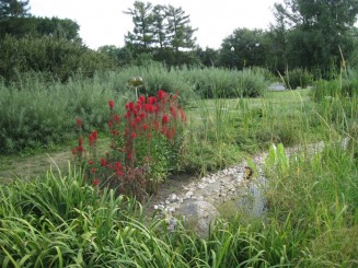 Insectarul din Montreal