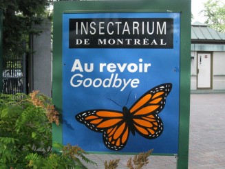 Insectarul din Montreal