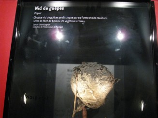 Insectarul din Montreal