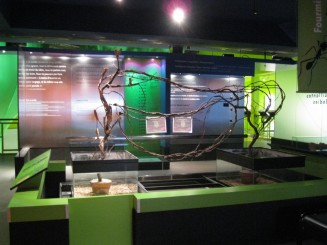 Insectarul din Montreal