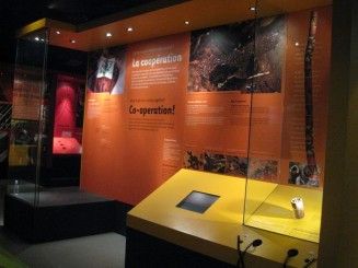 Insectarul din Montreal