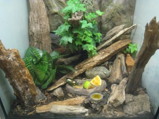 Insectarul din Montreal