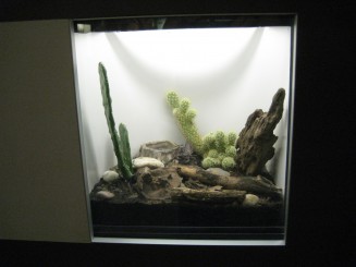 Insectarul din Montreal