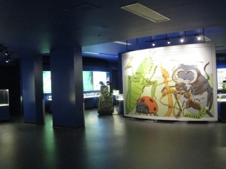 Insectarul din Montreal