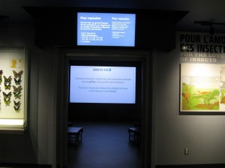 Insectarul din Montreal