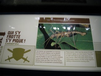 Insectarul din Montreal