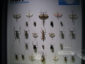 Insectarul din Montreal