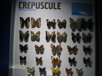 Insectarul din Montreal