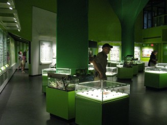 Insectarul din Montreal