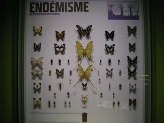 Insectarul din Montreal