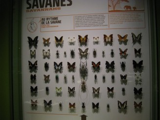 Insectarul din Montreal