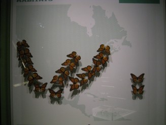 Insectarul din Montreal
