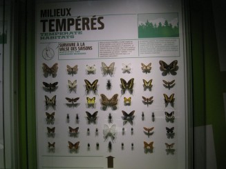 Insectarul din Montreal