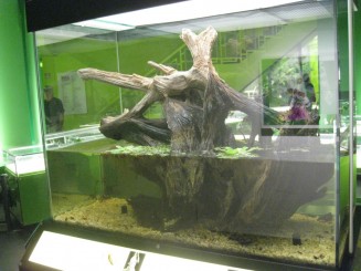 Insectarul din Montreal