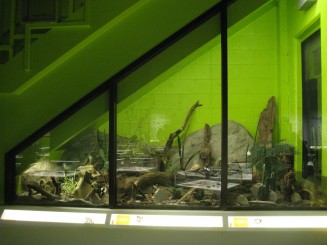 Insectarul din Montreal