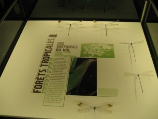 Insectarul din Montreal