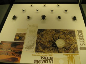 Insectarul din Montreal