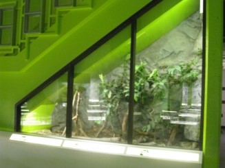 Insectarul din Montreal