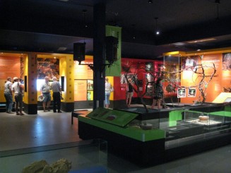 Insectarul din Montreal