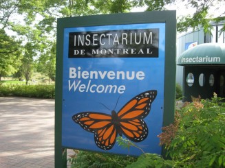 Insectarul din Montreal