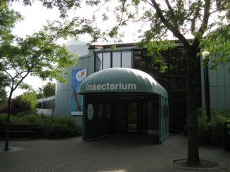 Insectarul din Montreal