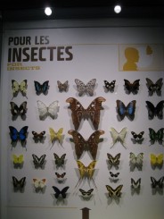 Insectarul din Montreal