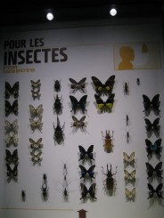 Insectarul din Montreal