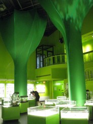 Insectarul din Montreal