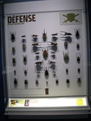 Insectarul din Montreal