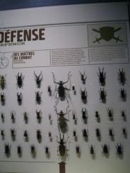 Insectarul din Montreal