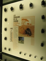 Insectarul din Montreal