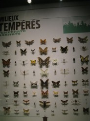 Insectarul din Montreal
