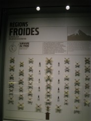 Insectarul din Montreal