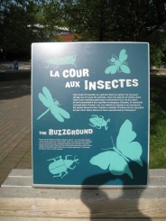 Insectarul din Montreal