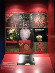 Insectarul din Montreal