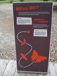 Insectarul din Montreal