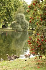 Parcul St James