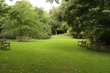 Imagine din Kew Gardens - caracteristica pentru gradinile englezesti