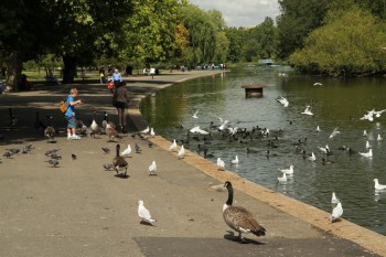 Regent`s Park