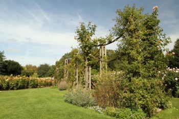 Regent`s Park