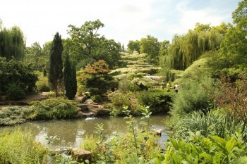 Regent`s Park