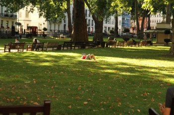 Berkeley Square Gardens in cartierul Myfair